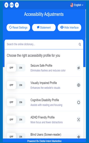 Accessibility Blue Interface